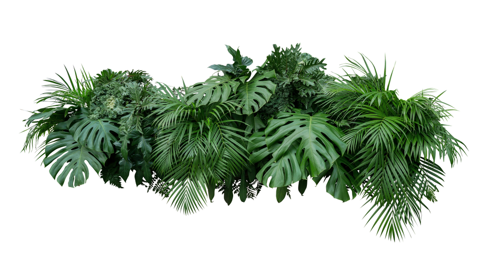 Top Memorial Day Flowers and Greenery for Wreaths and Decor