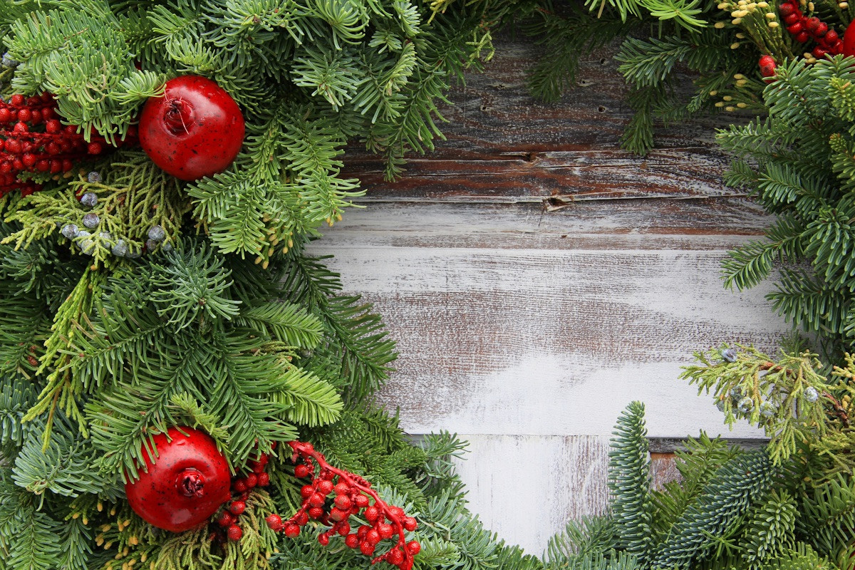 🎄 Christmas 2026: Pre-Order Your Holiday Greenery Early